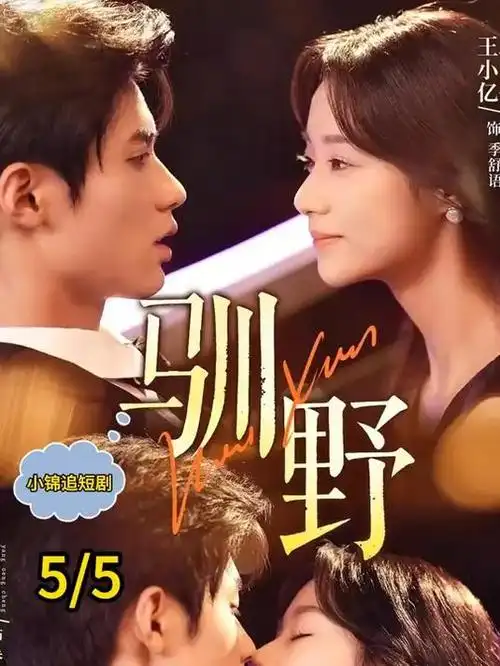 二十四格黄昏条目详情配图